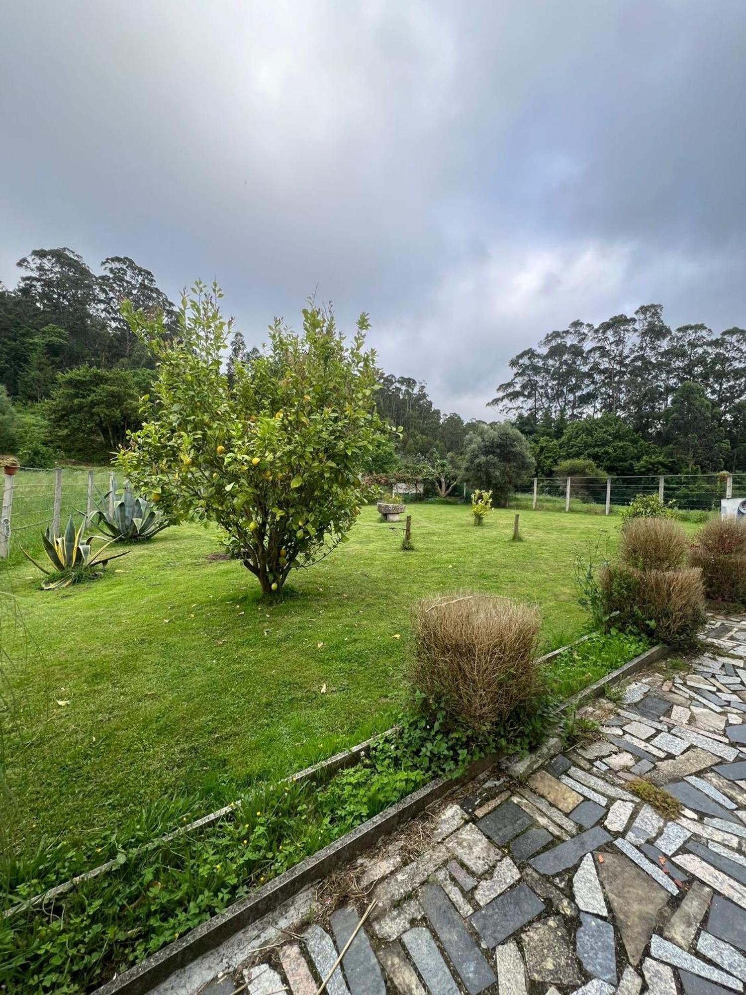 Casa De Campo Adosada Viveiro Exteriér fotografie